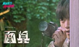 咸鱼爆料视频大全,揭秘网络热点背后的真相